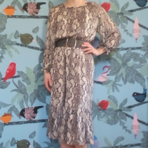 Snake/Python Print Midi-Dress with Belt - Picture 2 of 10